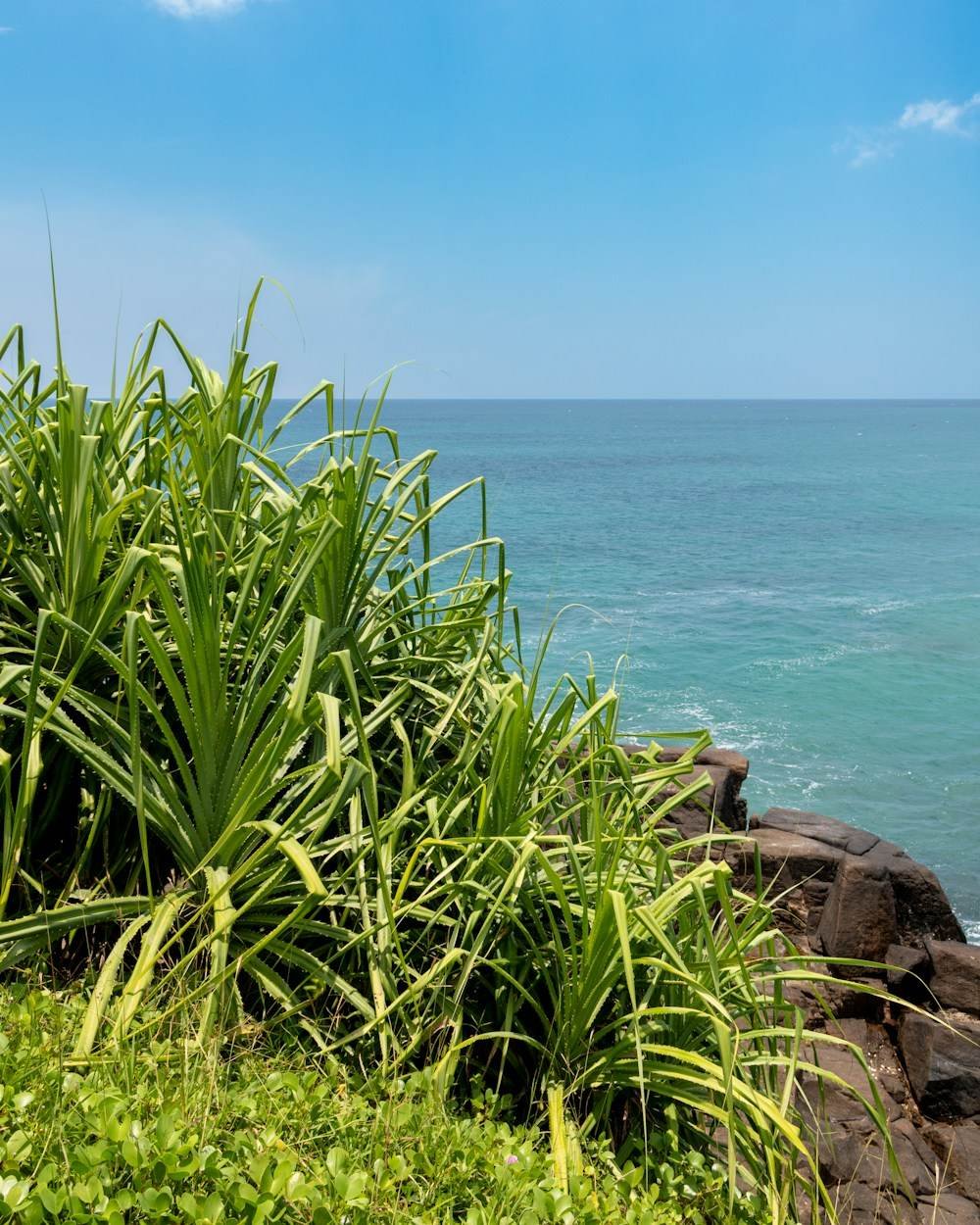 A cliff villa above the sea in Sri Lanka