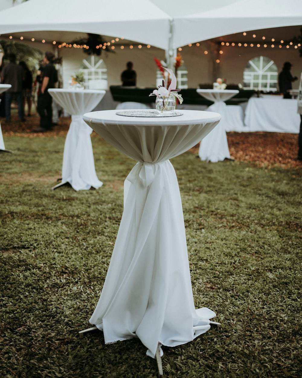 A canopy on a lawn